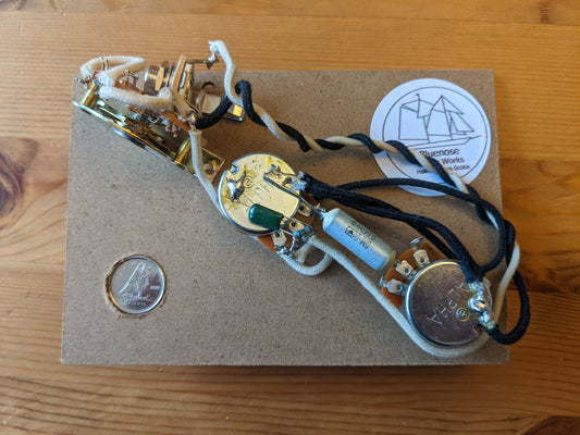 Pre-wired T-type Wiring Harness - ALPHA Pots - 0.047 uF with your choice of Caps - FREE COPPER SHIELDING