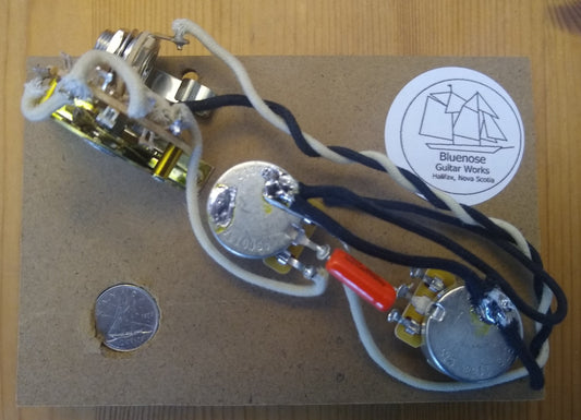 Pre-wired T-type 4-Way Wiring Harness - CTS Pots - 0.047 uF with your choice of Caps - FREE COPPER SHIELDING